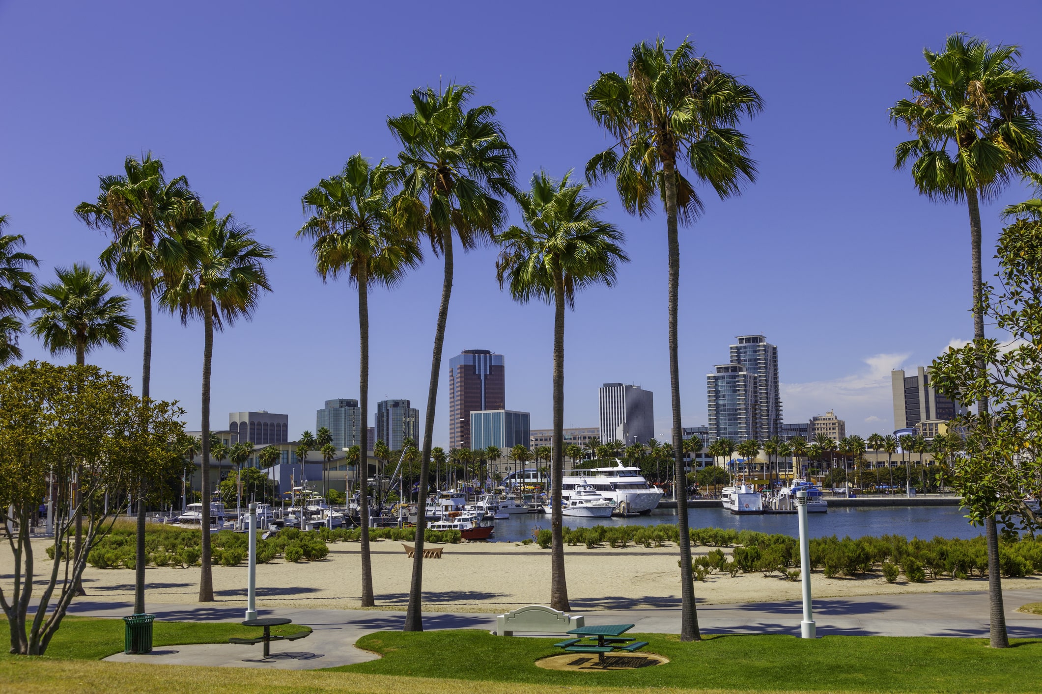 Long Beach waterfront, marina, and skyline